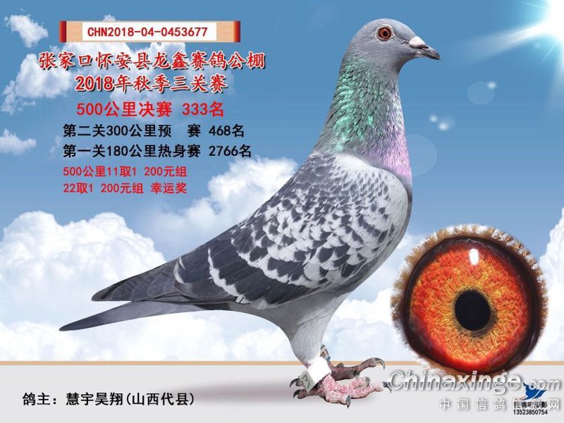 龙鑫之光：山西商贸业的新星